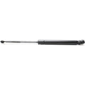 Hood Lift Supports Set of 2 for Coupe