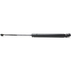 Hood Lift Supports Set of 2 for Coupe