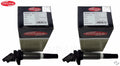 Set of 2 Delphi Direct Ignition Coils for BMW E82 F30 E90 E92 E93 330xi X3 X6