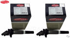 Set of 2 Delphi Direct Ignition Coils for BMW E82 F30 E90 E92 E93 330xi X3 X6