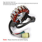 Magneto Generator Stator Coil for Yamaha YFM250 (2001–2009) YFM660 (2005) 1P0-H1410-00 T9
