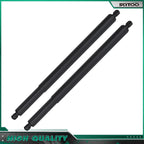 2X Gas Struts Lift Supports for BMW X6 E71 (2007–2014)