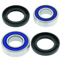 Lower Steering Bearing Kit for Can-Am DS 250 (2006–2020)