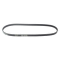 Serpentine Multi-V Stretch Belt 4040355S for Continental Automotive