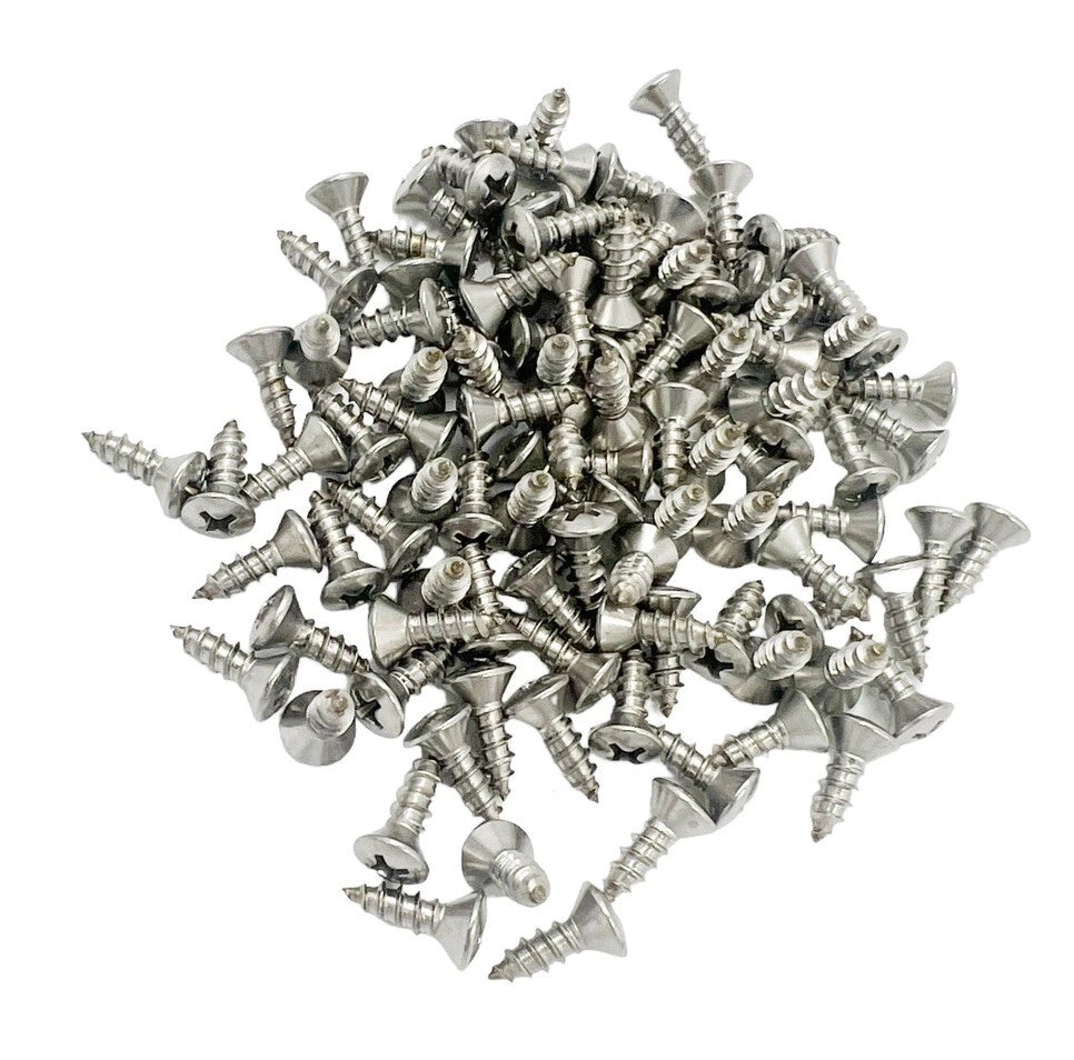 Stainless Sill Plate Screws Phillips Head for GM (Set of 100) (1900–2020)