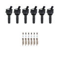 Set of 6 Ignition Coils & Denso Iridium Spark Plugs for Trailblazer (2002–2009)