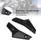 Radiator Side Cover Fairing Panels for Street Triple 765 R/RS (2020–2022)