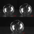 Set of 4 Succulent Tabletop Terrarium Balls (8/10/12cm)