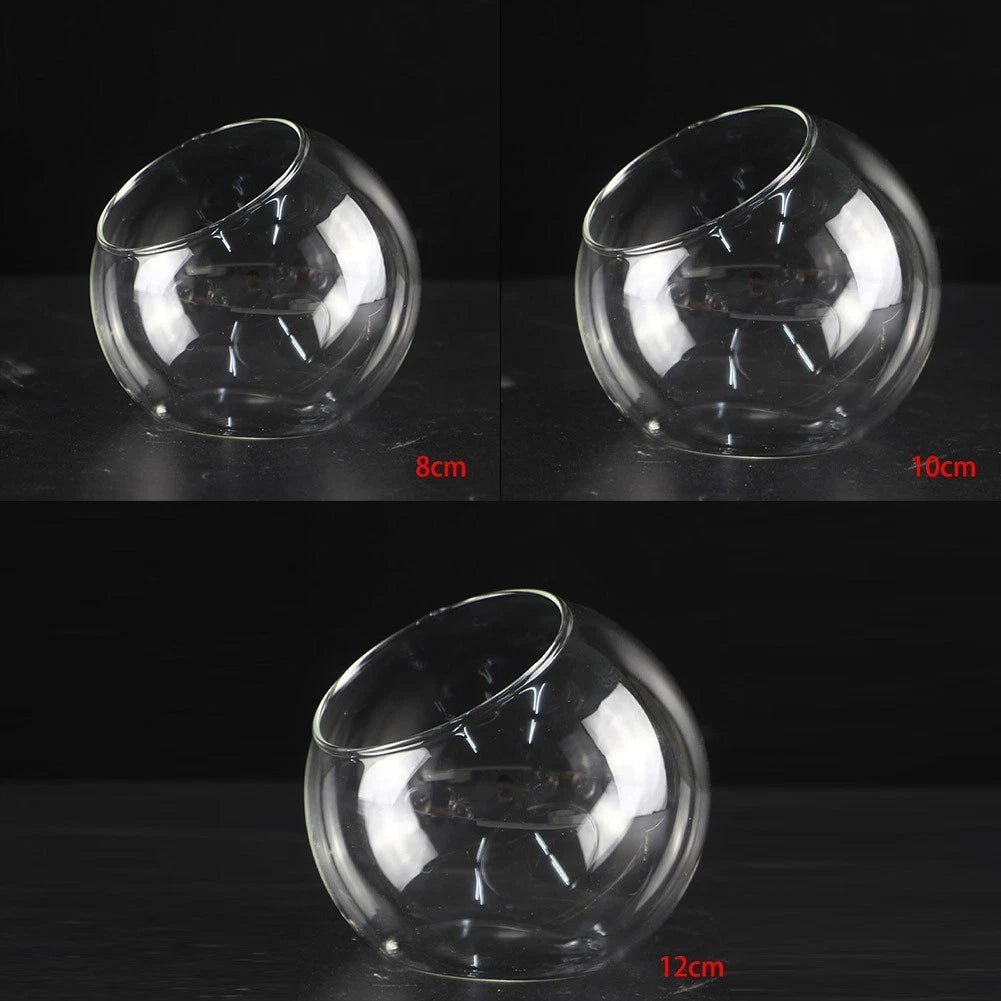 Set of 4 Succulent Tabletop Terrarium Balls (8/10/12cm)