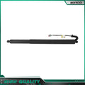 Gas Liftgate Strut for Ford Edge (2015–2018) D1108