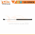 Set of 2 Rear Trunk Lift Support Springs Shocks for Volkswagen CC (2009–2017)