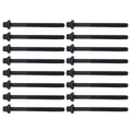 16Pcs Head Bolts for Hyundai Santa Fe Sonata Kia Sedona Sorento (2001–2020)
