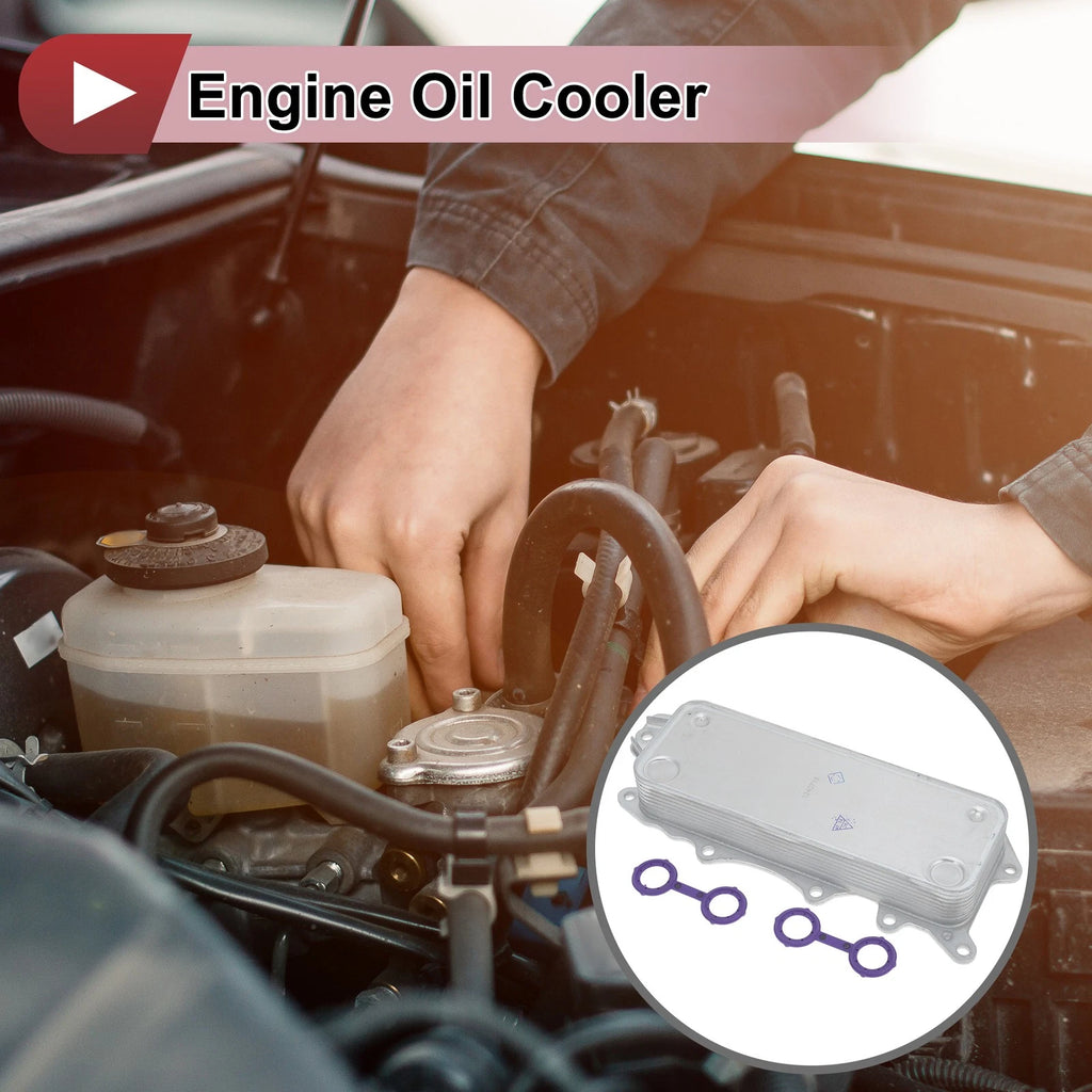 Engine Oil Cooler for Mercedes-Benz Sprinter 2500 (No. 6421800165)