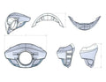 Burly Touring Sport Fairing for Honda Rebel 300/500 (2020–2023)