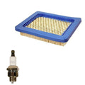 Tune Up Kit for Briggs (Air Filter #491588, Spark Plug RJ19LM, J19LM)