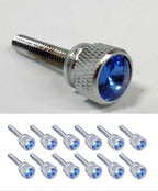 Chrome Dash Panel Long Screws Set for Kenworth 2001–Earlier (12 Pack)
