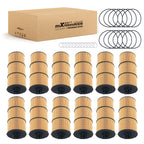 Engine Oil Filter for Freightliner 122SD (2020–2022)