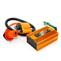 CDI Unit + Coil for 150cc 250cc Pit Pro Quad Dirt Bike ATV (CDI-6P)