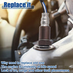 Oxygen Sensor for Toyota RAV4 (2006–2012) No. 894650R030
