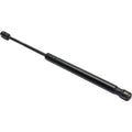 Lift Support for Acura TL (2006–2008) Hood Driver or Passenger Side