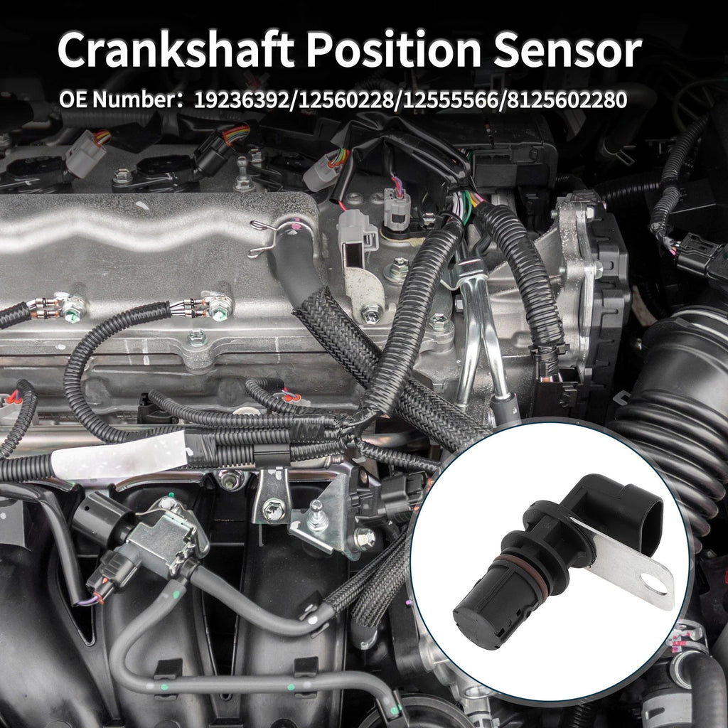 Crankshaft Position Sensor for Chevy Silverado 1500 (1999–2005) No.19236392