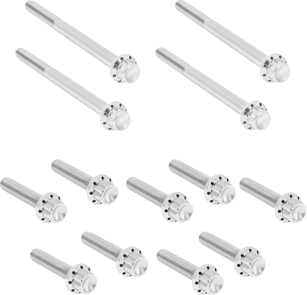 Bolt Kit for Harley FLT (Primary Cover, Titanium, 12-Point)