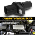 Camshaft Position Sensor for Toyota 4Runner Camry Avalon (2005–2012)