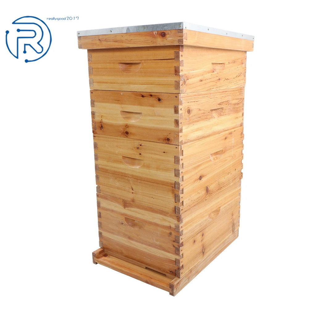 Set of 4 Beehive Frames for Bee Hive (Compatible with 8 Frame Models)
