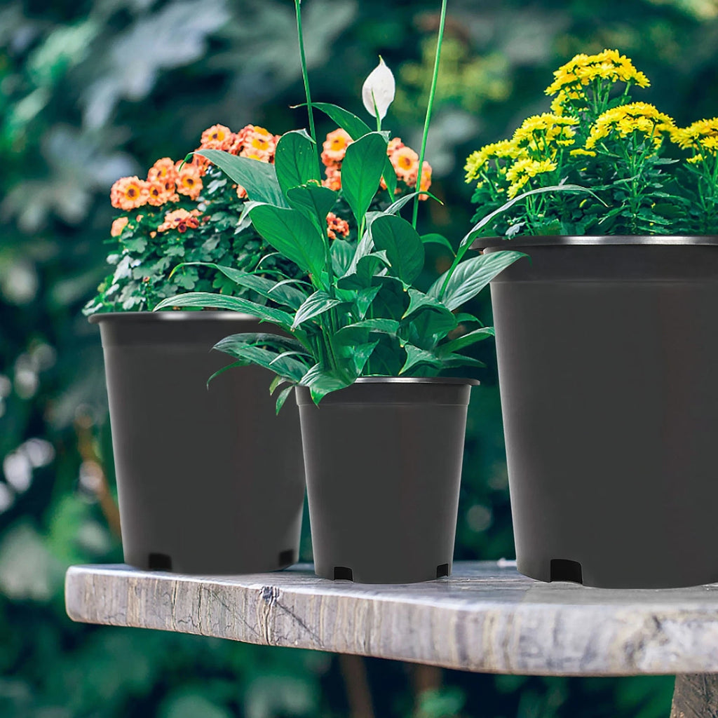 Set of 10 Gallon Black Plastic Plant Flower Pots for Nursery