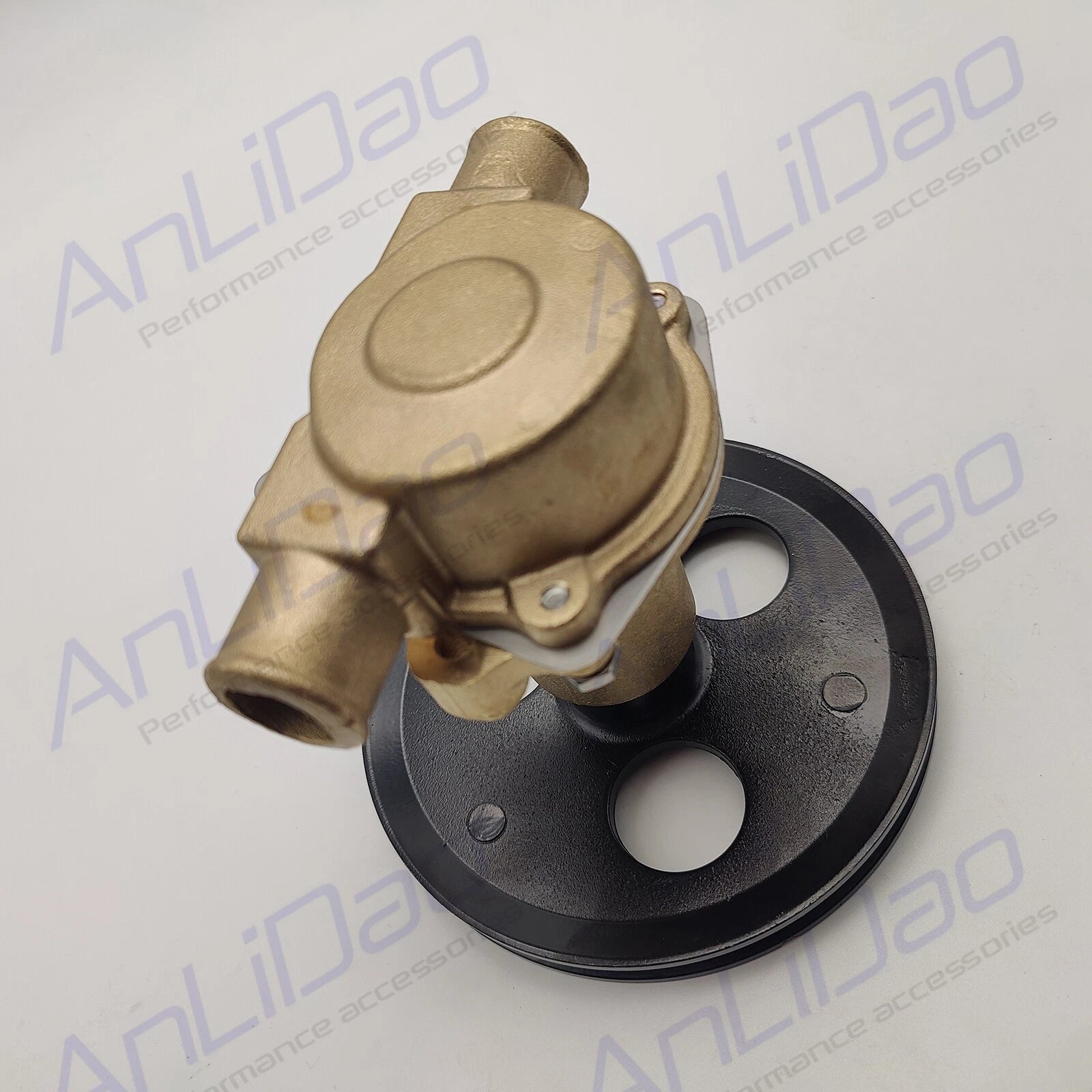Water Pump for Fit Fit Sherwood Pleasurecraft Jabsco G20 G21 (RA057007, 18830-0010)