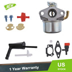 Carburetor for Briggs & Stratton (798653, 791077, 697354, 790290, 698860)