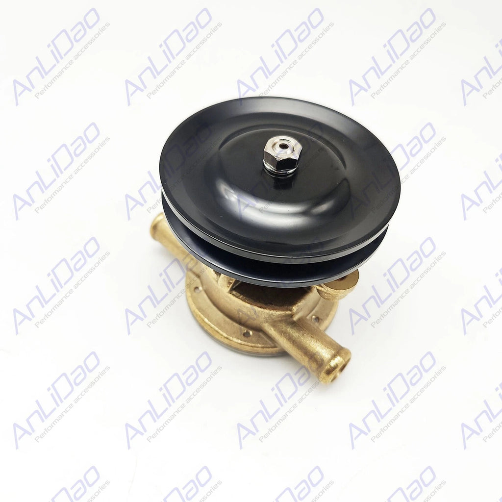 Sea Water Pump for Johnson Yanmar (128377-42500, 10-24509-01, 24509-02, 128990-42500)