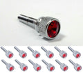 Dash Panel Long Screws Set of 12 for Kenworth KW (2001–Earlier) Red Jewel Chrome