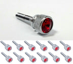 Dash Panel Long Screws Set of 12 for Kenworth KW (2001–Earlier) Red Jewel Chrome