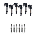 Set of 6 Ignition Coils & NGK Spark Plugs for CTS SRX Rendezvous (V6)