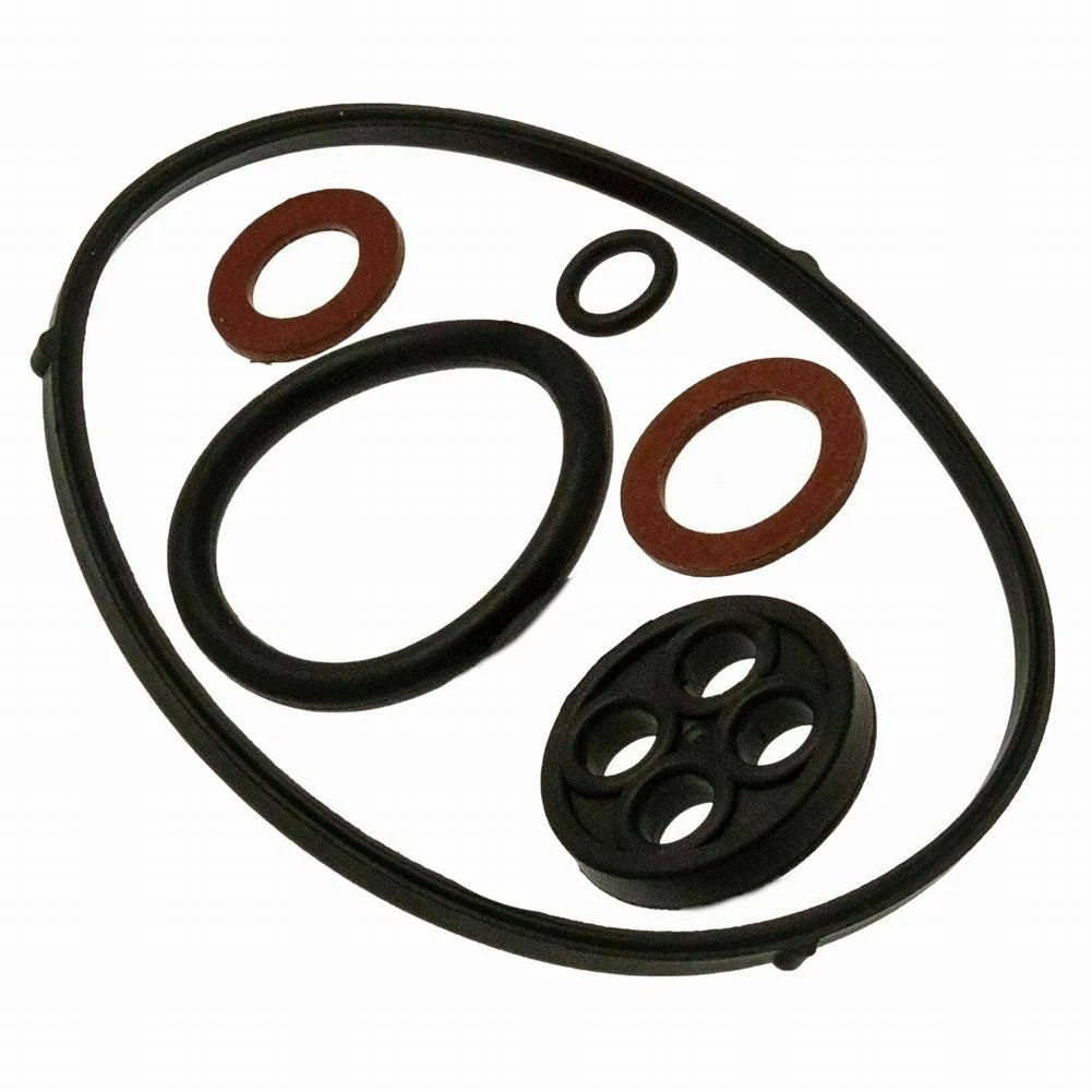 Carburetor Seal Kit for