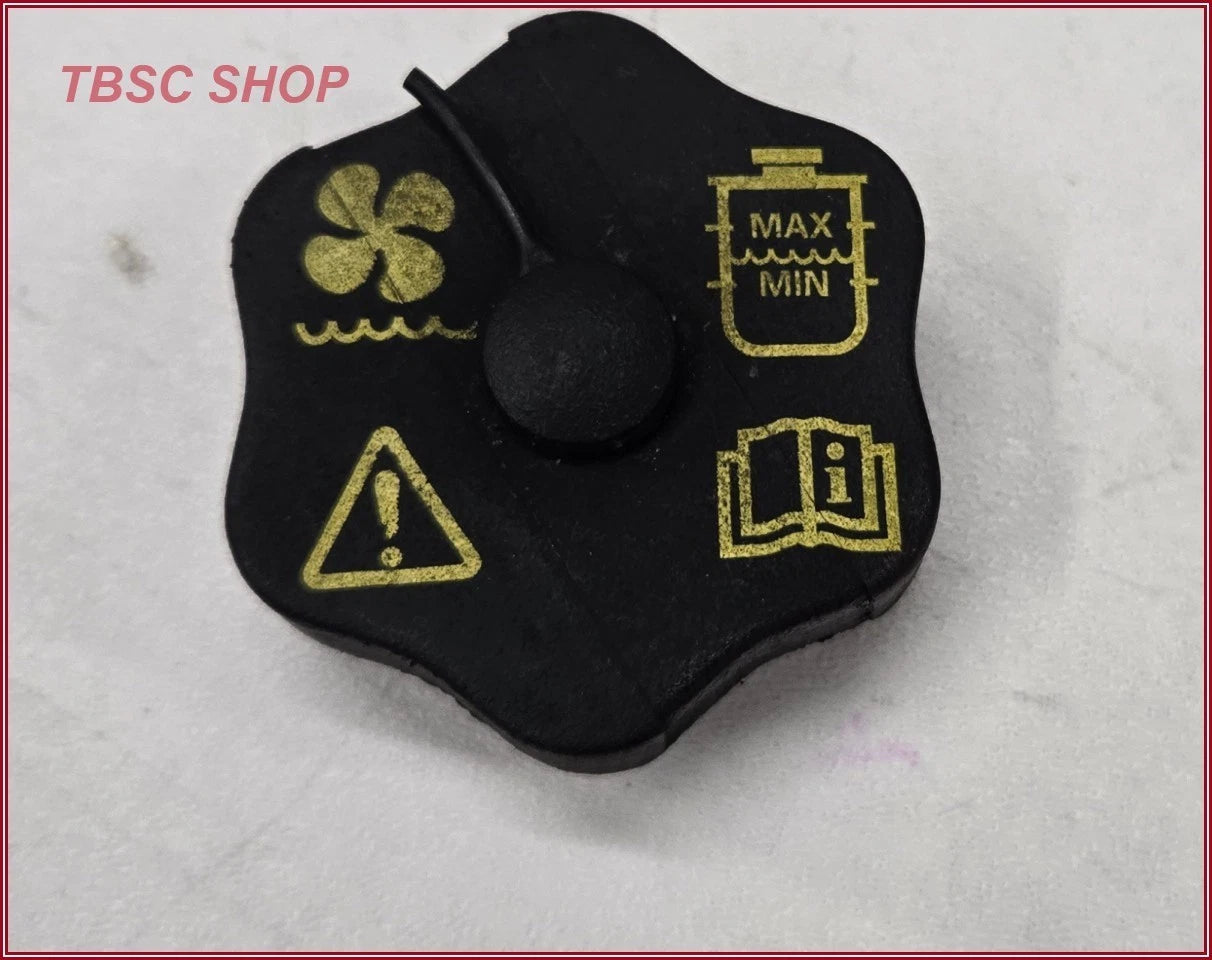Hydraulic Fan Pump Reservoir Cap for Lincoln LS (2000–2002)