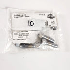10-Pack Chrome Plated Allen Head Bolts for Harley-Davidson (94355-91T)