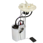 Fuel Pump Module Assembly for Ford F-150 (2015–2017) FG1996