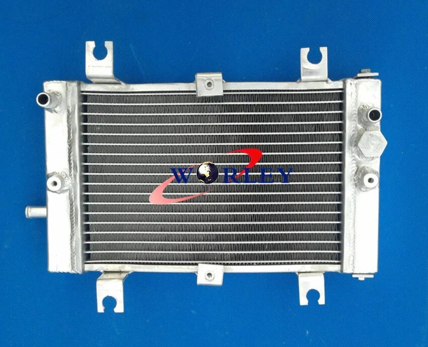 Full Aluminum Radiator for Can-Am DS250 2006-2012 (06-12)