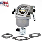 Carburetor for Engine Tractor (406577, 699807, 407577)