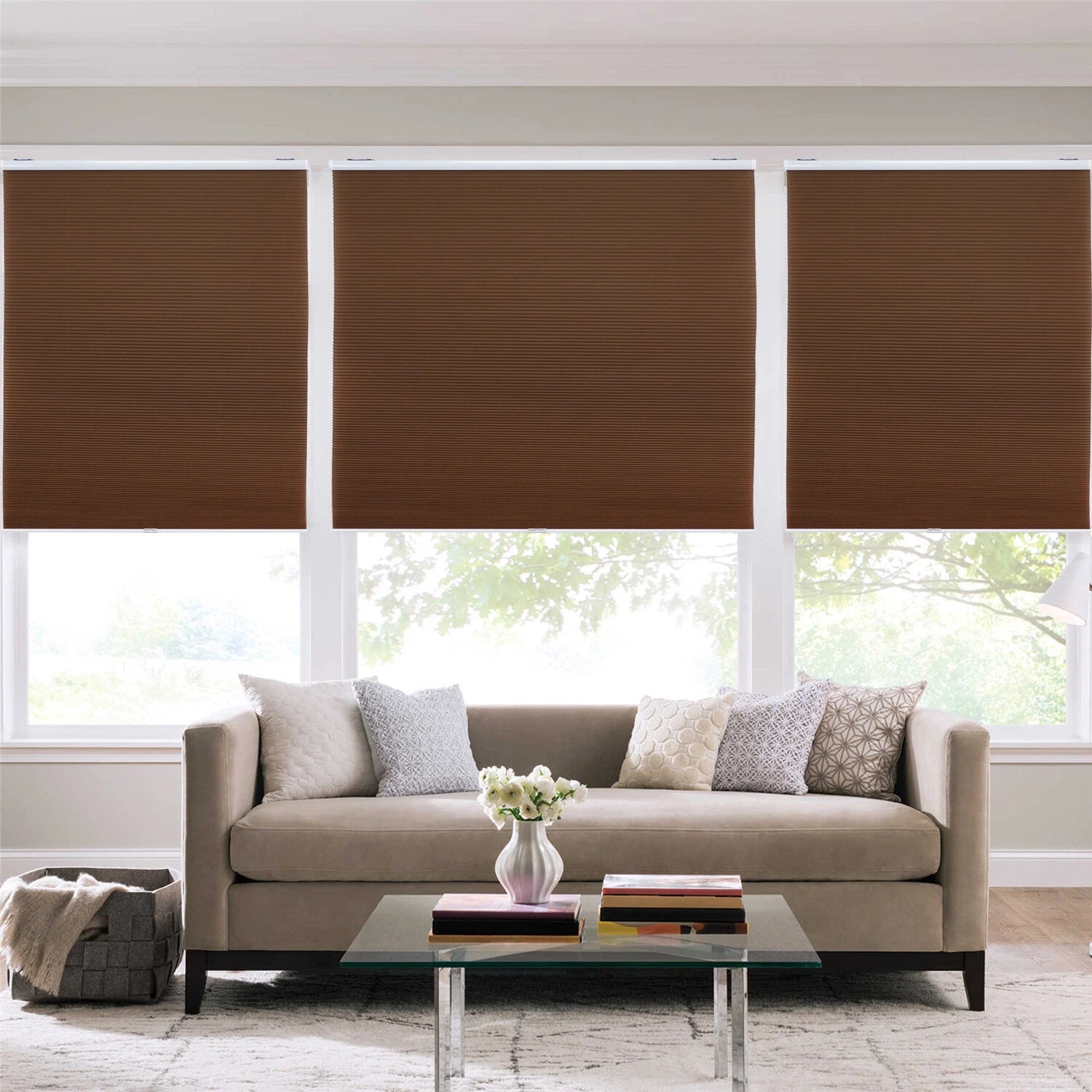 Cellular Shades for Window (64" W x 64" H)