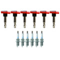 Set of 6 Ignition Coils & Spark Plugs for Audi A6 Q5 3.2 V6 (2005–2012)