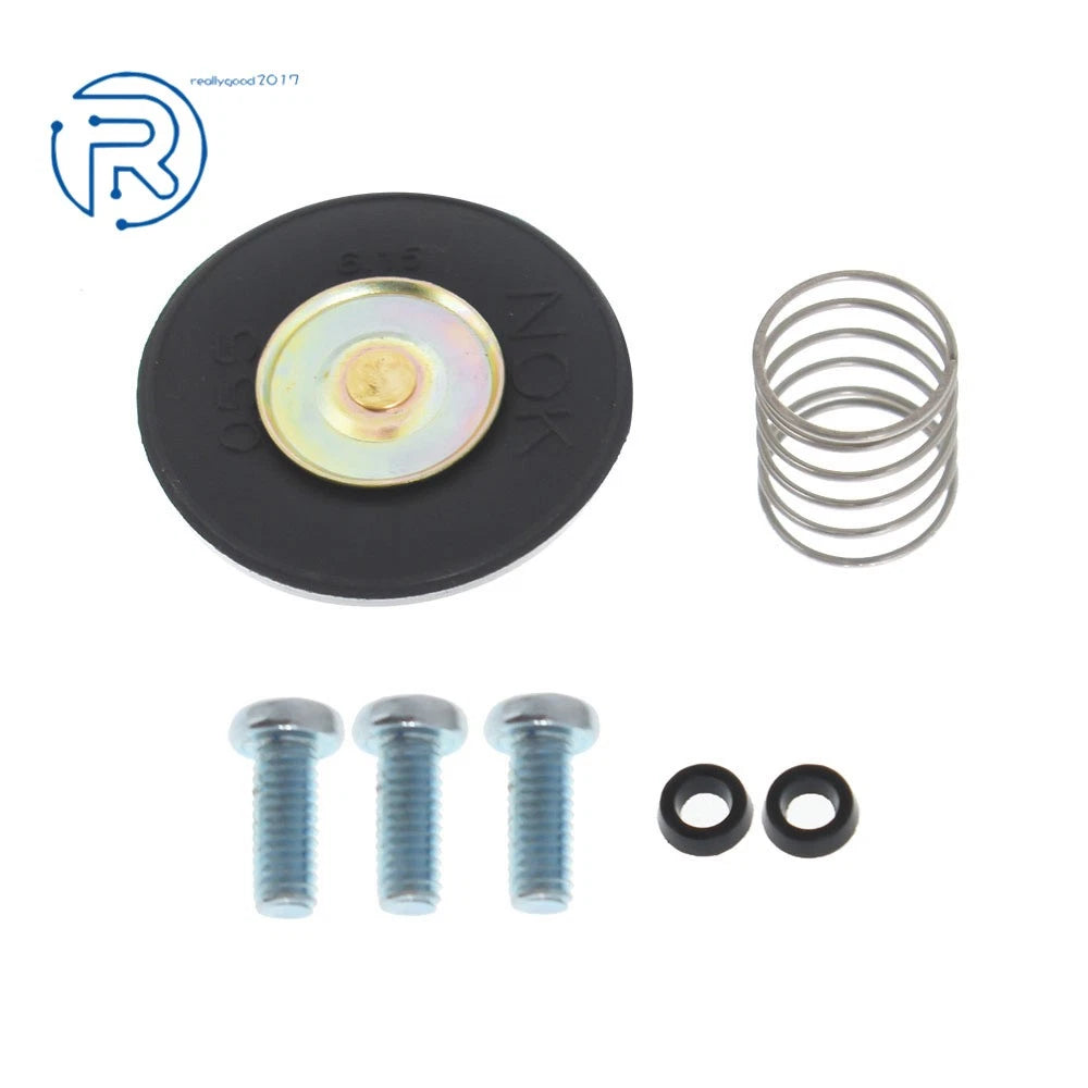Repair Kit for Kohler CH20
