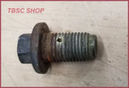 Thermostat Housing Bleed Bolt for Ford Thunderbird Cougar Sable (1989–1997)