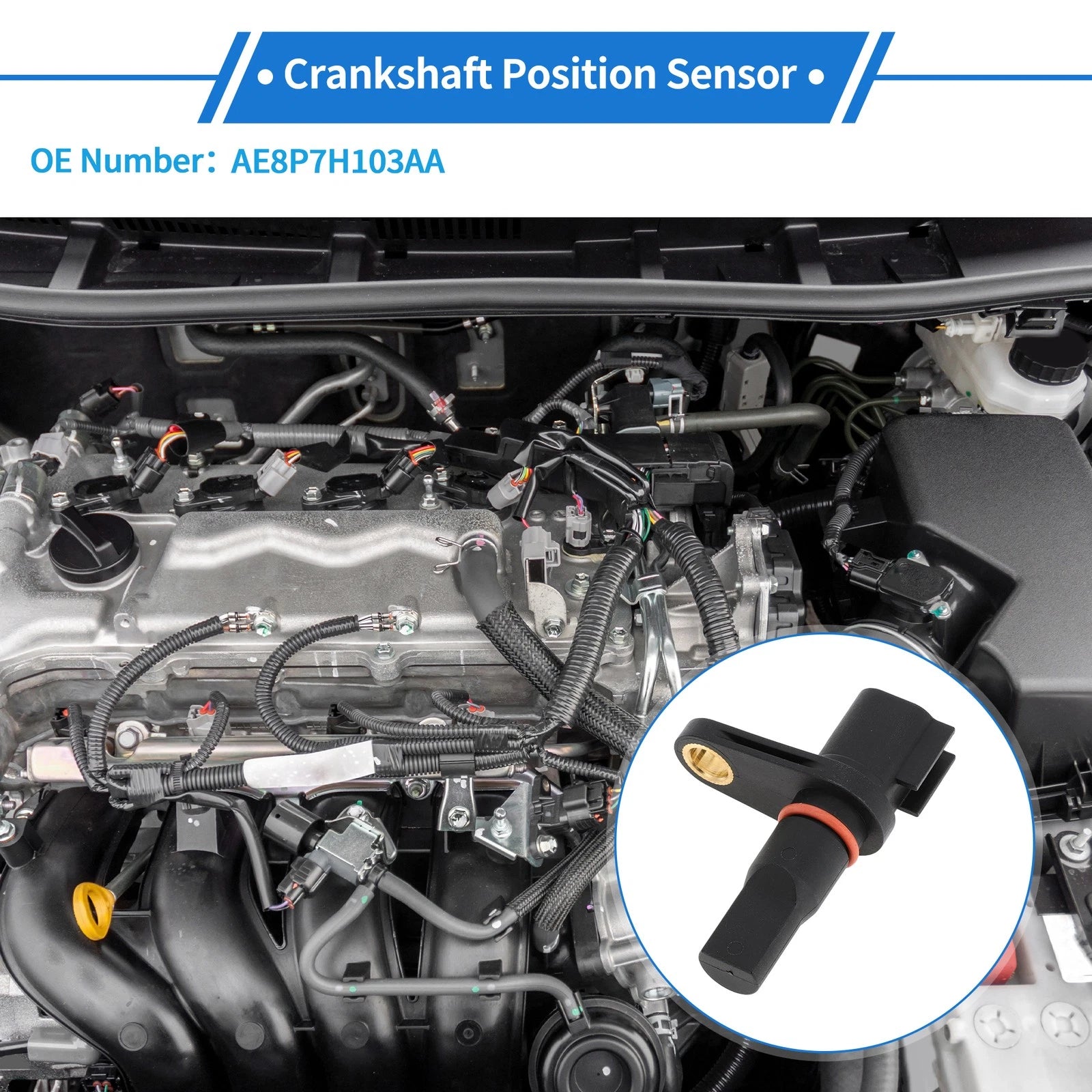 Crankshaft Position Sensor for Ford C-MAX (2014–2016) AE8P7H103AA
