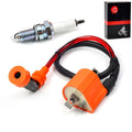 Ignition Coil & Spark Plug for Yamaha Kodiak 400 (2000-2006)