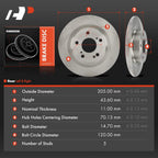 Rear Disc Brake Rotors for Honda Civic (2017–2023)