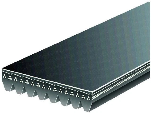 Fan Multi Rib Belt for Suzuki Sidekick (1996–1998) WS276TG