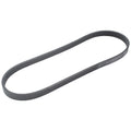 Serpentine Belt 5PK830 for Continental Automotive (Metric)